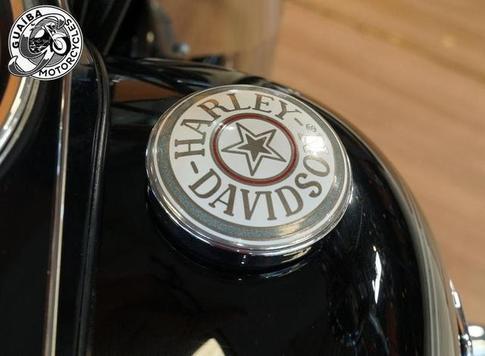 HARLEY-DAVIDSON SOFTAIL DELUXE