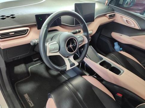 BYD DOLPHIN MINI GS5EV