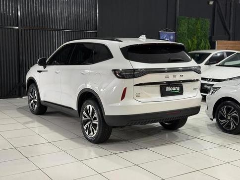 GWM Haval H6 19