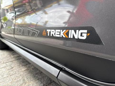 FIAT ARGO TREKKING 1.3