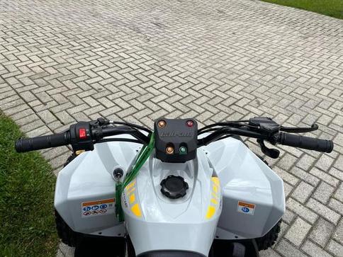 CAN-AM CAN-AM ATV REN 2X4