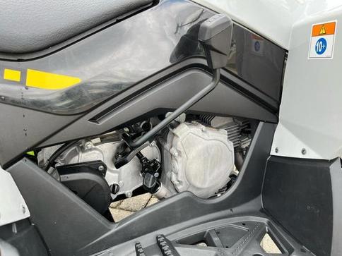 CAN-AM CAN-AM ATV REN 2X4