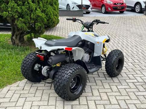 CAN-AM CAN-AM ATV REN 2X4