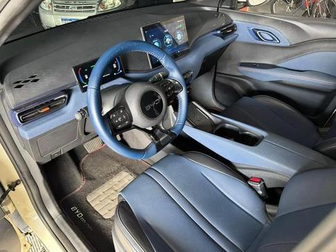 BYD DOLPHIN MINI (EL�TRICO)