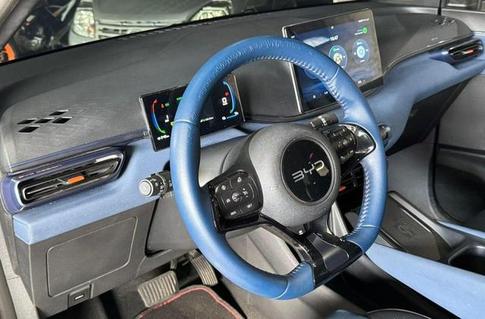 BYD DOLPHIN MINI (EL�TRICO)