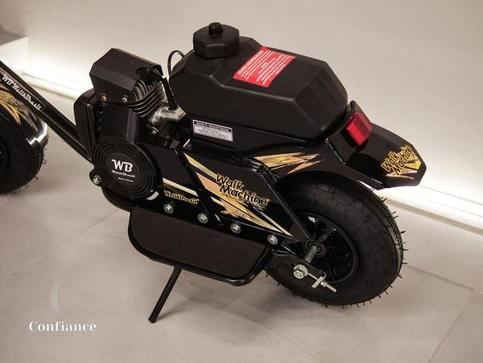 WALK MACHINE WALK MACHINE 42 CC