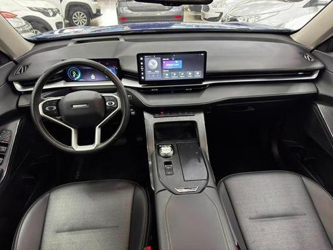 GWM Haval H6 19