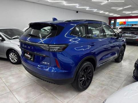 GWM Haval H6 19