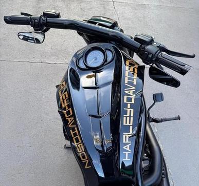 HARLEY-DAVIDSON VRSCDX