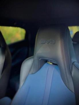 BYD DOLPHIN MINI GS
