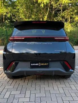 BYD DOLPHIN MINI GS