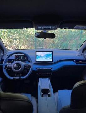 BYD DOLPHIN MINI GS