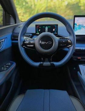 BYD DOLPHIN MINI GS