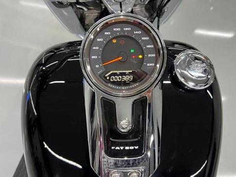 HARLEY-DAVIDSON FL FBS