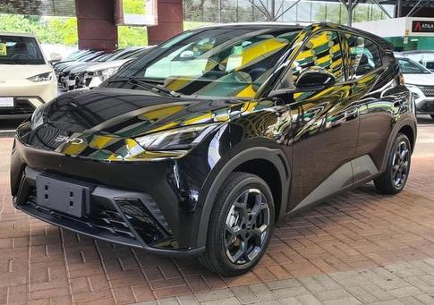 BYD DOLPHIN MINI