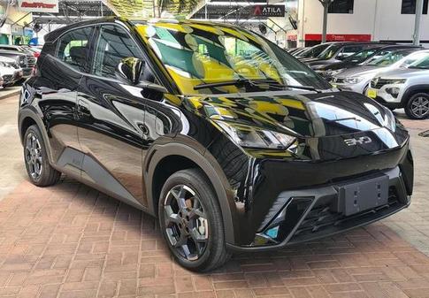 BYD DOLPHIN MINI