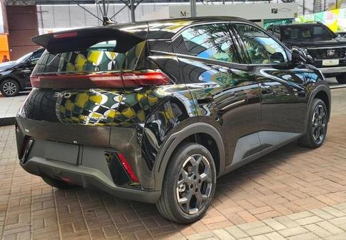 BYD DOLPHIN MINI