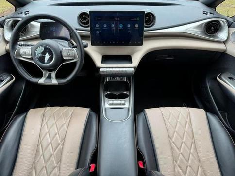 BYD DOLPHIN GS 180EV