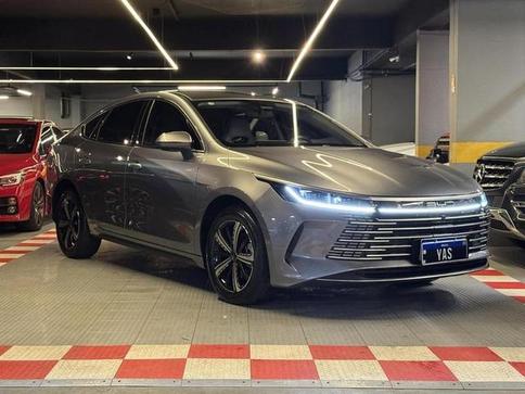 BYD KING GS DM