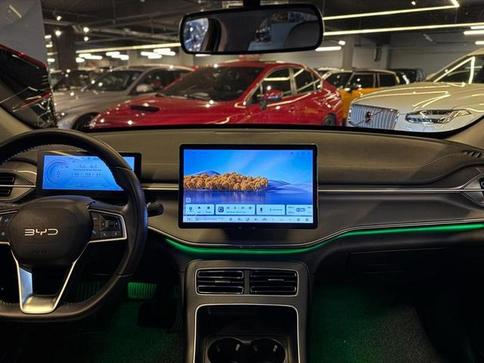 BYD KING GS DM