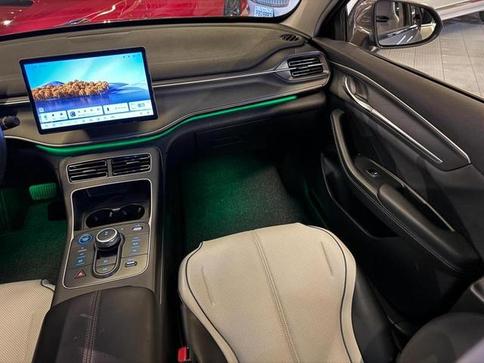 BYD KING GS DM