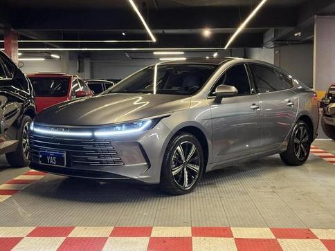 BYD KING GS DM
