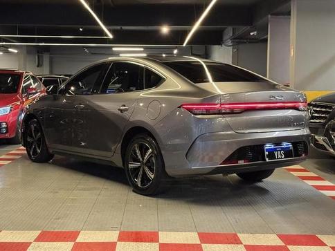 BYD KING GS DM