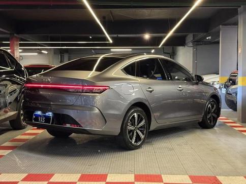 BYD KING GS DM