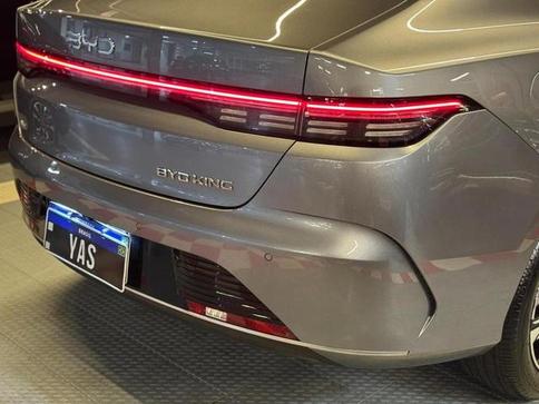 BYD KING GS DM