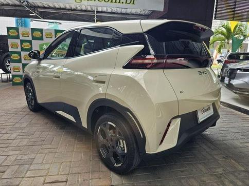 BYD DOLPHIN MINI (EL�TRICO)