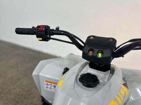 CAN-AM CAN-AM ATV REN 2X4