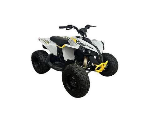 CAN-AM CAN-AM ATV REN 2X4