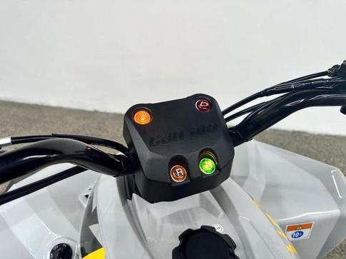 CAN-AM CAN-AM ATV REN 2X4