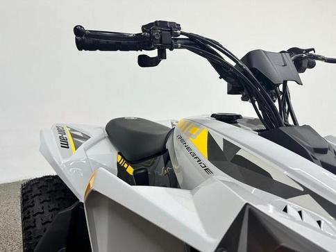 CAN-AM CAN-AM ATV REN 2X4