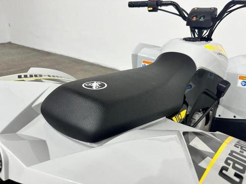 CAN-AM CAN-AM ATV REN 2X4