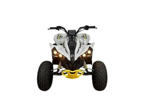 CAN-AM CAN-AM ATV REN 2X4