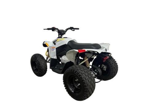 CAN-AM CAN-AM ATV REN 2X4