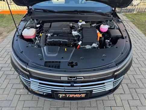 BYD KING GS 1.5 16V AUT. (HIBRIDO)