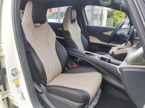 BYD DOLPHIN GS 180EV